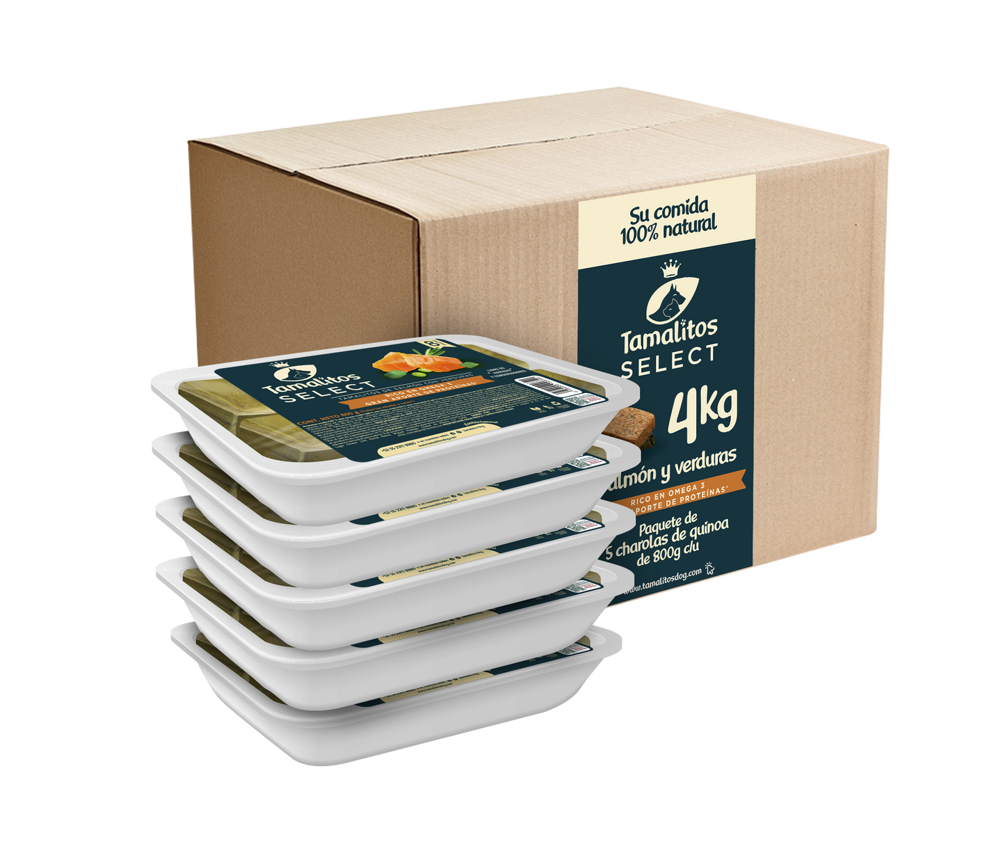 Paquete 5 piezas de Salmón 800g